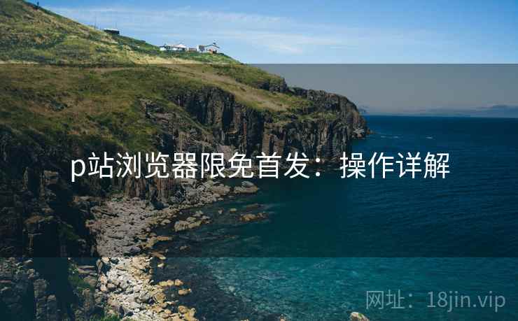 p站浏览器限免首发:操作详解 p站浏览器限免首发:操作详解