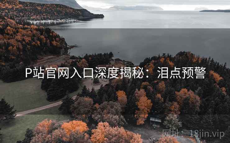 P站官网入口深度揭秘：泪点预警
