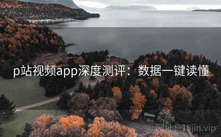 p站视频app深度测评：数据一键读懂